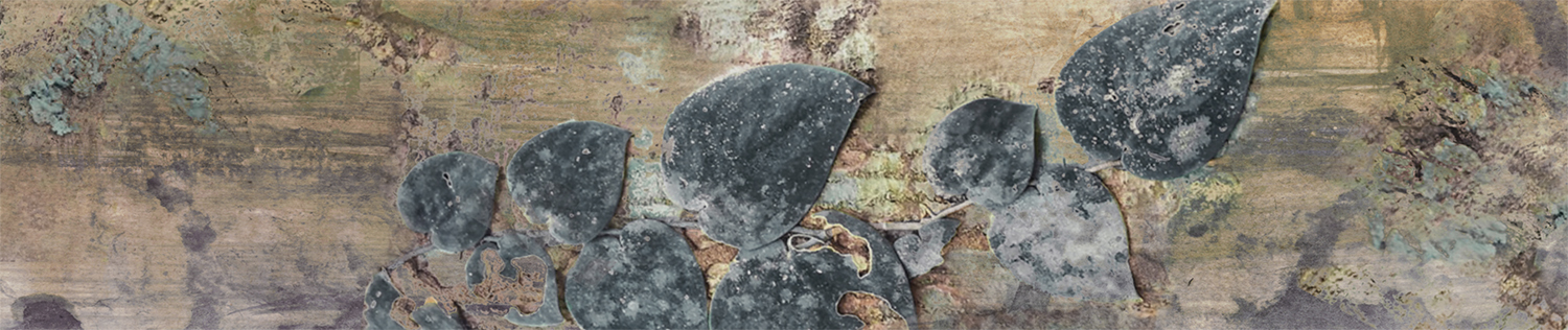 Декор Kerama Marazzi OS\A136\26000 Вудсток 1 матовый 6x28,5