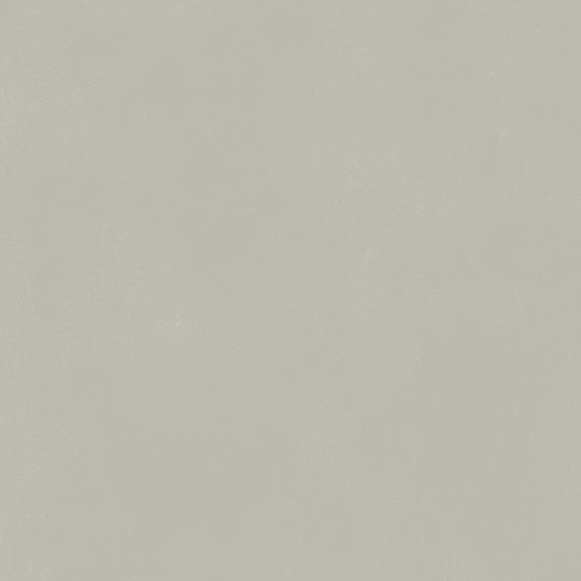 Керамогранит Италон Форум Слим Сильвер 610010004138 серый 80x80