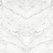 Панно Kerama Marazzi SG090800R6\P Капрая белый (из 2ч. 160x320) 320x320