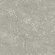 Керамогранит Laparet Wolf Grey 80x80 сатинированный
