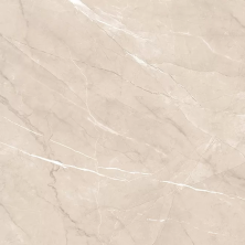 Керамогранит Alma Ceramica Pulpis GFU04PLP04R 60x60