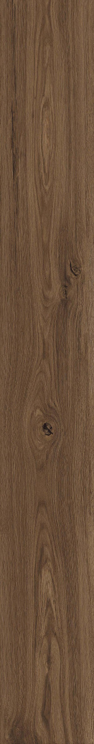 Керамогранит Atlas Concorde Rive Antica Riva 20x160