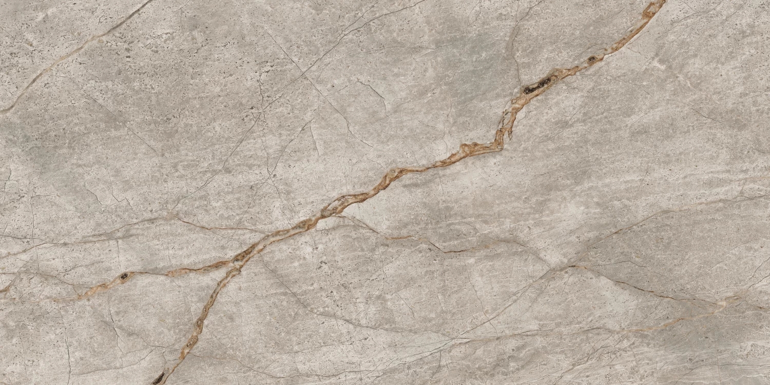 Керамогранит Atlas Concorde Empire Silver Root 60x120 матовый