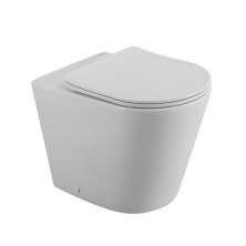 Унитаз приставной безободковый BelBagno Flay-R BB1003CBR/SC с крышкой-сиденьем микролифт