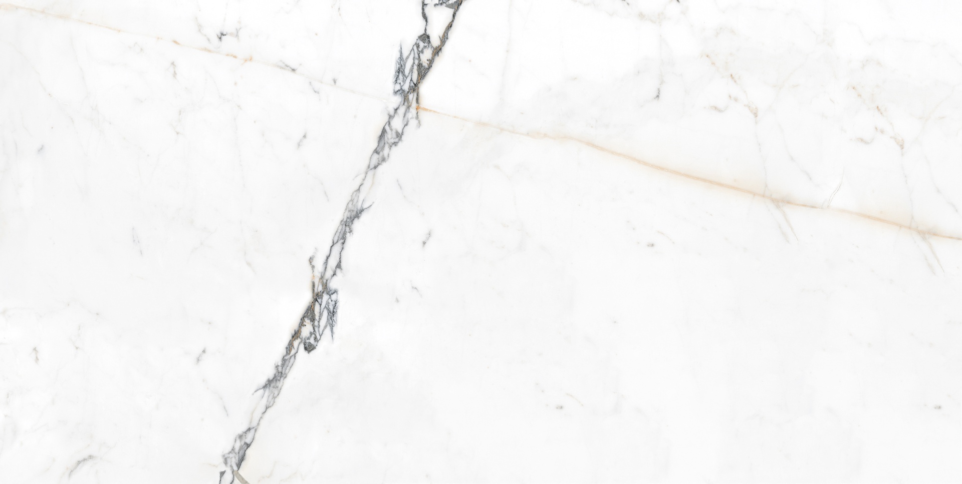 Керамогранит Идальго Pallisandro Oro SR 60x120 белый