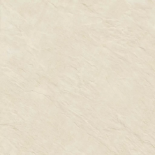 Керамогранит Alma Ceramica Эволюшн GFU04EVL08R бежевый 60x60