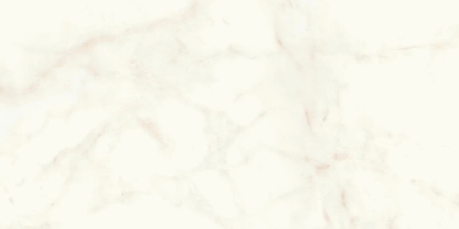 Керамогранит Atlas Concorde Marvel Shine Calacatta Delicato Matte 60x120 A4QW