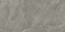 Керамогранит Atlas Concorde Marvel Pro Grey Fleury Polished 60x120 A21M