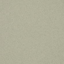 Керамогранит Пиастрелла SP-606 Соль-перец светло-зеленый матовый ректифицированный 600х600