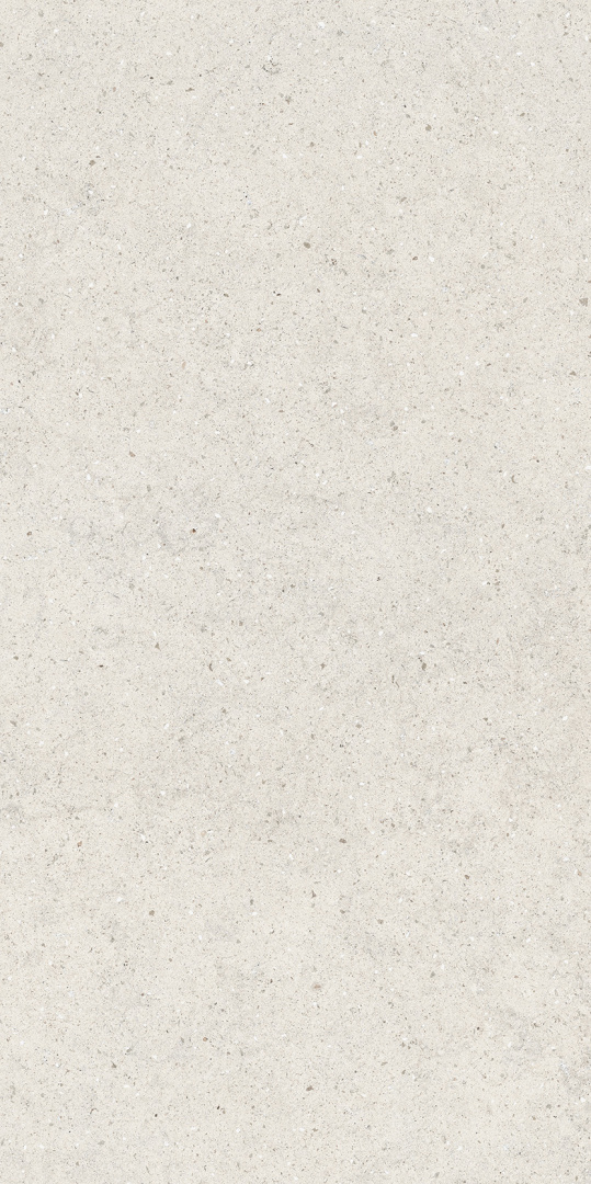 Керамогранит Италон Форум Стоун Полар 610010004166 белый 60x120