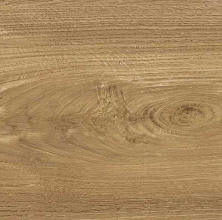 Керамогранит Atlas Concorde Rive Dolce Riva LASTRA 20mm 60x60