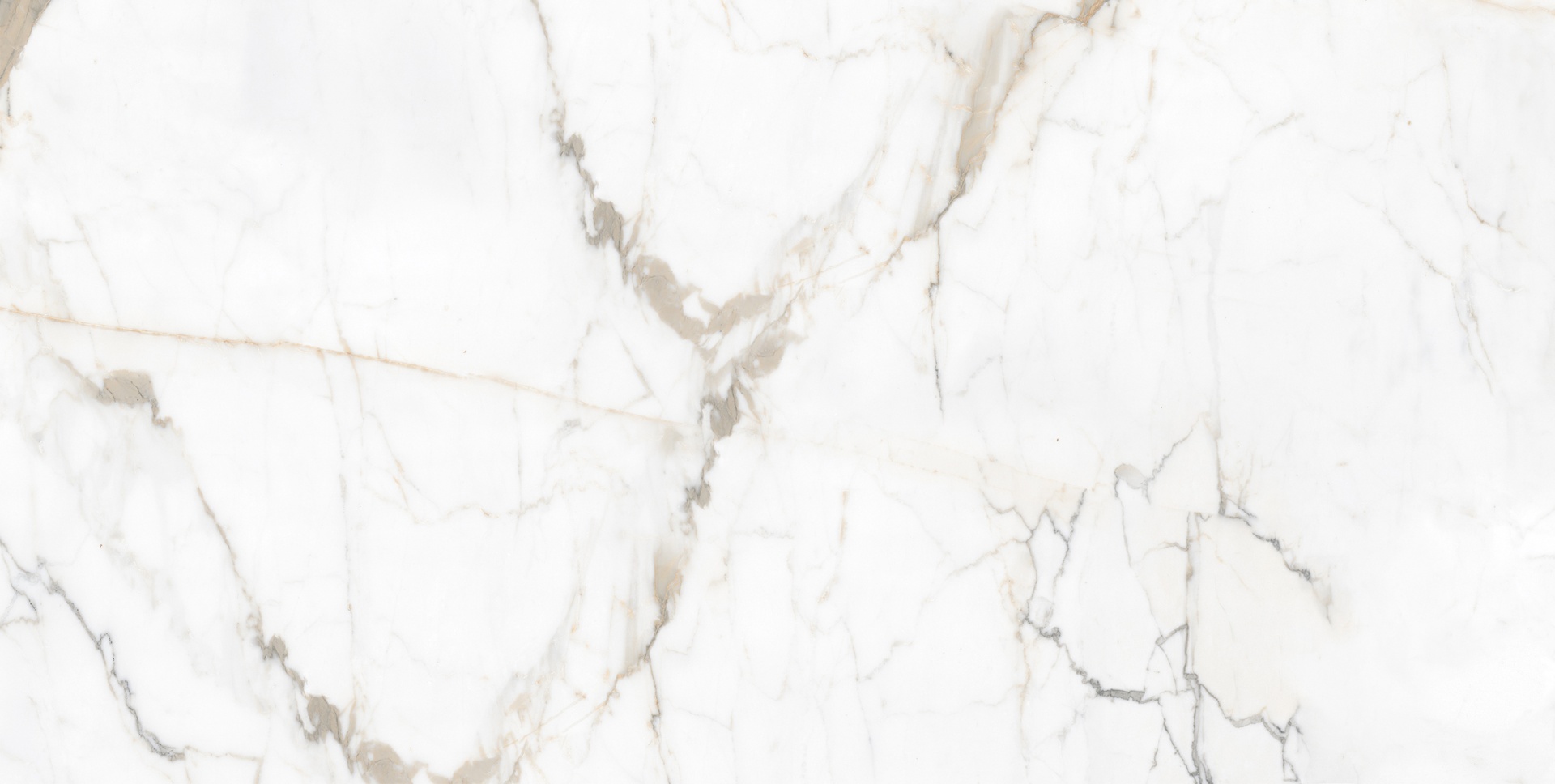 Керамогранит Идальго Pallisandro Oro LLR 60x120 белый