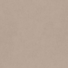 Керамогранит Estima Cave CA00 30x30