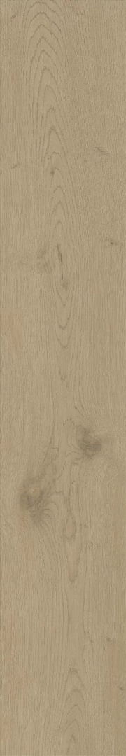Керамогранит Atlas Concorde Entice Ash Oak Natural Matte 20x120 A840