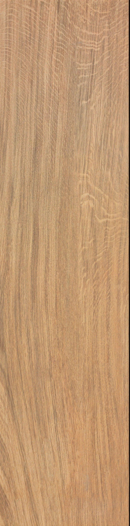 Керамогранит Atlas Concorde Etic Rovere 22.5x90 AJ8D