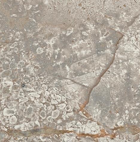 Вставка Atlas Concorde Empire Silver Root 7,2x7,2 матовая