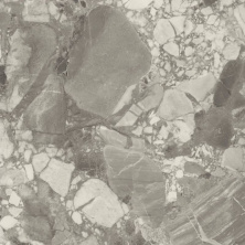 Керамогранит Forte dei Marmi Ceppo Apuano Pearl 80x80 лаппатированный