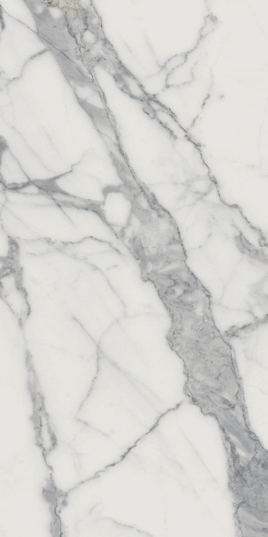 Керамогранит Italon Charme Evo Statuario 60x120 матовый