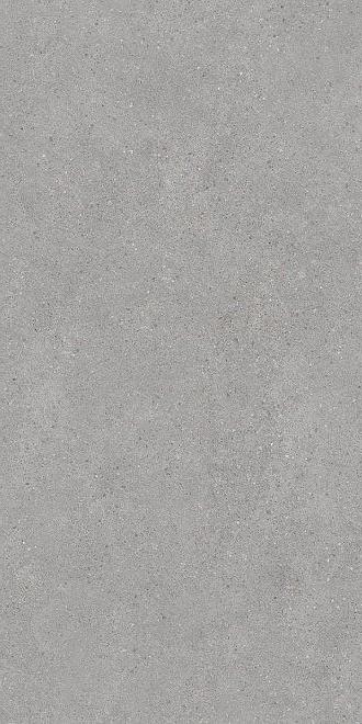 Керамогранит Kerama Marazzi Фондамента серый светлый обрезной 60x119.5 DL500820R