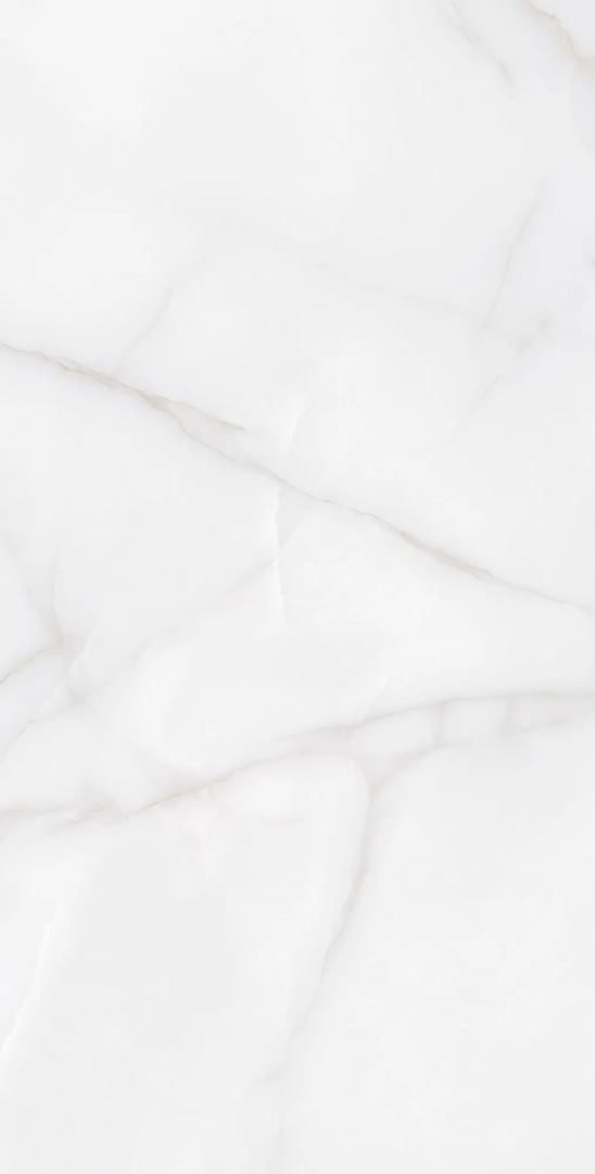 Керамогранит Аркадия Керамика RT7012-A Feather Onyx Matt Rustic 60x120 белый