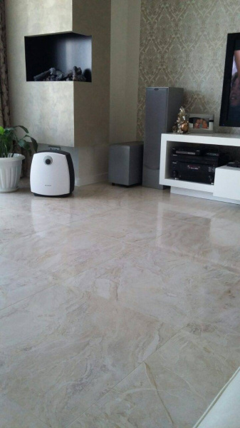 Квартира в г. Пенза ул. Центральная. Атлас Привиледж Аворио лап. 60х60 фото 2