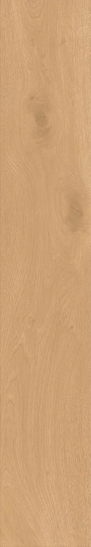 Керамогранит Atlas Concorde Entice Pale Oak Natural Matte 20x120 A841