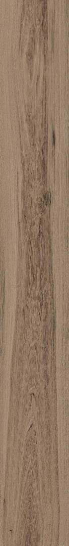 Керамогранит Atlas Concorde Rive Bella Riva 20x160