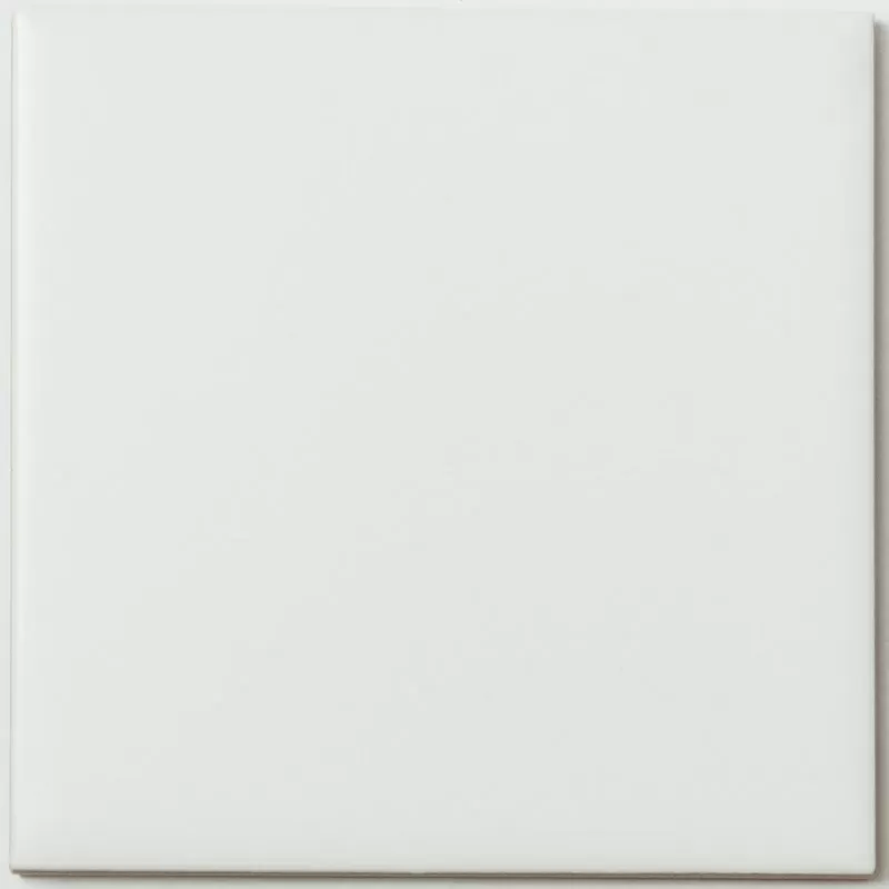 Мозаика NSmosaic FK-102M белый 10x10