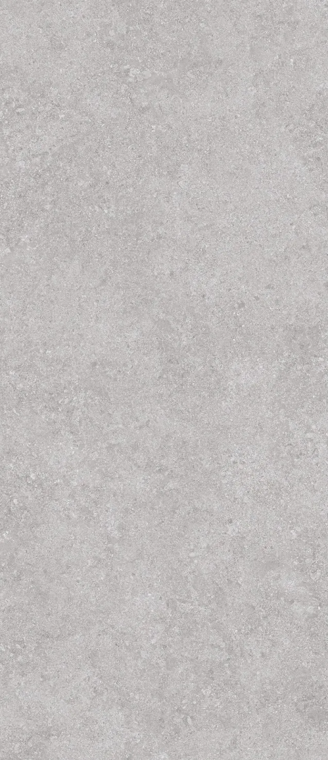 Керамогранит СтароСлэбс Onega Grey Xylotech Matt 120x278 серый