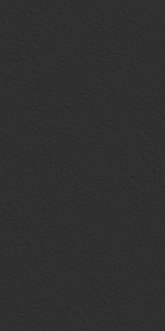 Керамогранит СтароСлэбс Black Texture 160x320 черный