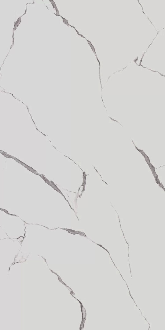 Керамогранит Керама Марацци Venezia Монте Тиберио белый лаппатированный обрезной 119,5х238,5