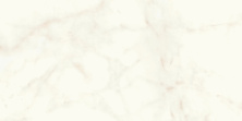 Керамогранит Atlas Concorde Marvel Shine Calacatta Delicato Matte 60x120 A4QW