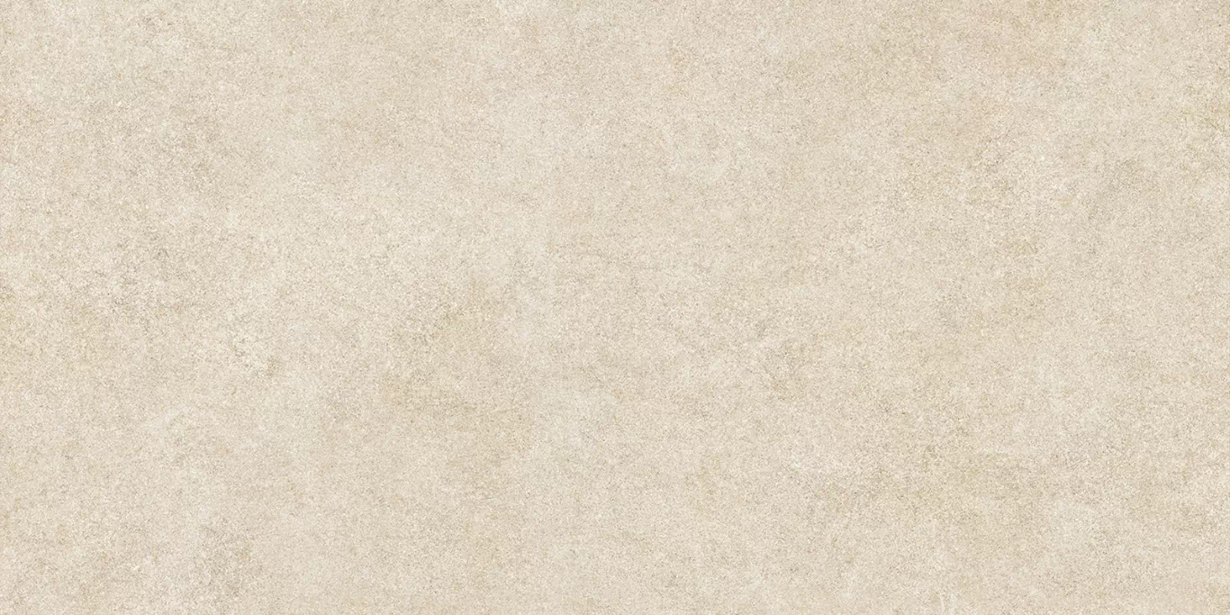 Керамогранит Alma Ceramica Amsterdam GFA114ADM40CR 57х114