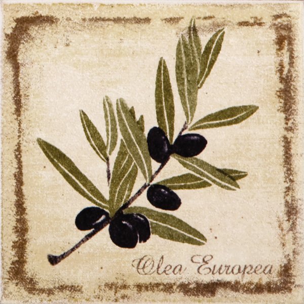 Декор Kerama Marazzi Прованс 9.8x9.8 A1912\1221H