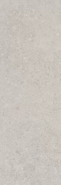 Керамическая плитка Kerama Marazzi 14053R Риккарди серый светлый матовый обрезной 40x120