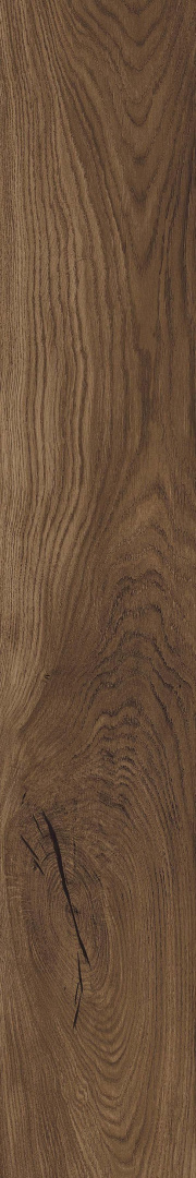 Керамогранит Atlas Concorde Rive Antica Riva 20x120