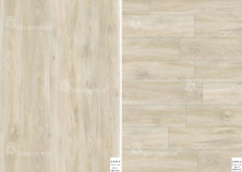 SPC ламинат Westerhof Modern Sommer 6003-14