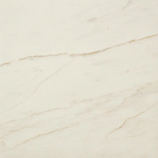 Керамогранит Atlas Concorde Marvel Pro Cremo Delicato Matte 60x60 AVGD