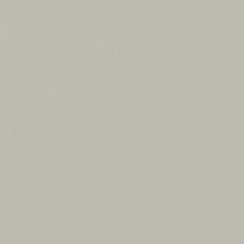 Керамогранит Италон Форум Слим Сильвер 610010004198 серый 120x120