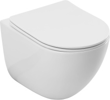 Унитаз подвесной Allen Brau Priority 4 4.31013.20 белый