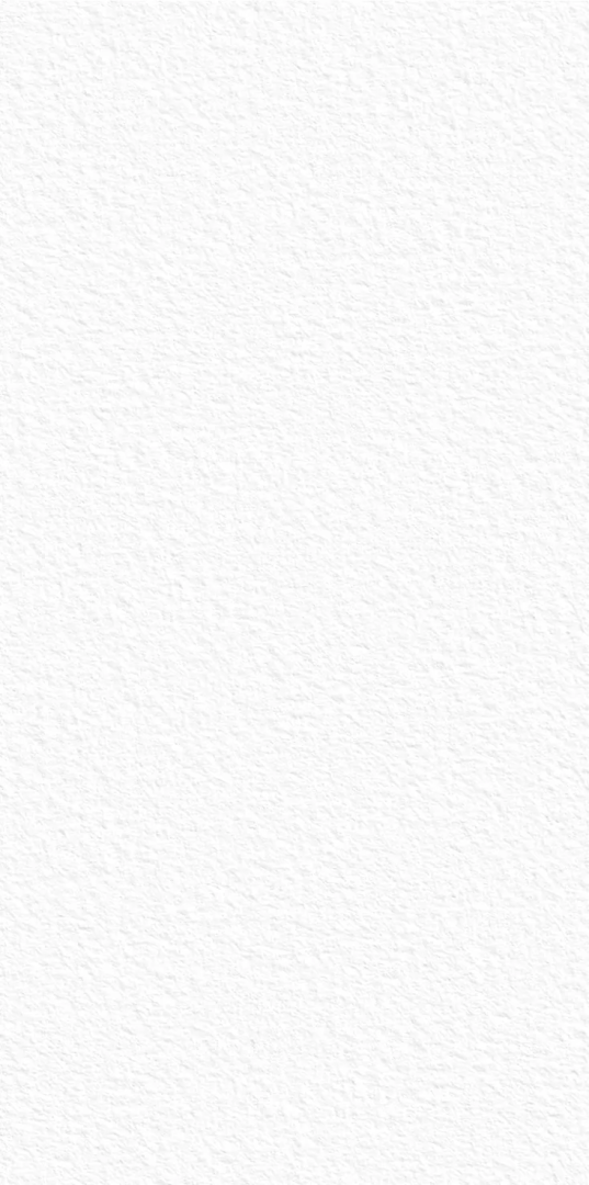 Керамогранит СтароСлэбс White Texture 160x320 белый