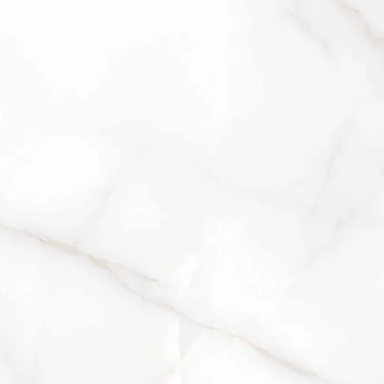 Керамогранит Аркадия Керамика RT6004-A Feather Onyx Matt Rustic 60x60 белый