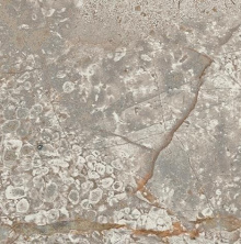 Вставка Atlas Concorde Empire Silver Root 7,2x7,2 матовая