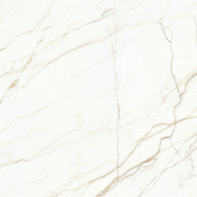 Керамогранит Laparet Europa Gold 60x60 глянцевый