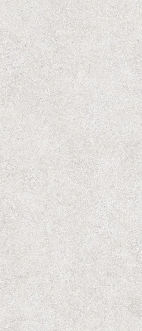 Керамогранит СтароСлэбс Onega Silver Xylotech Matt 120x278 серый