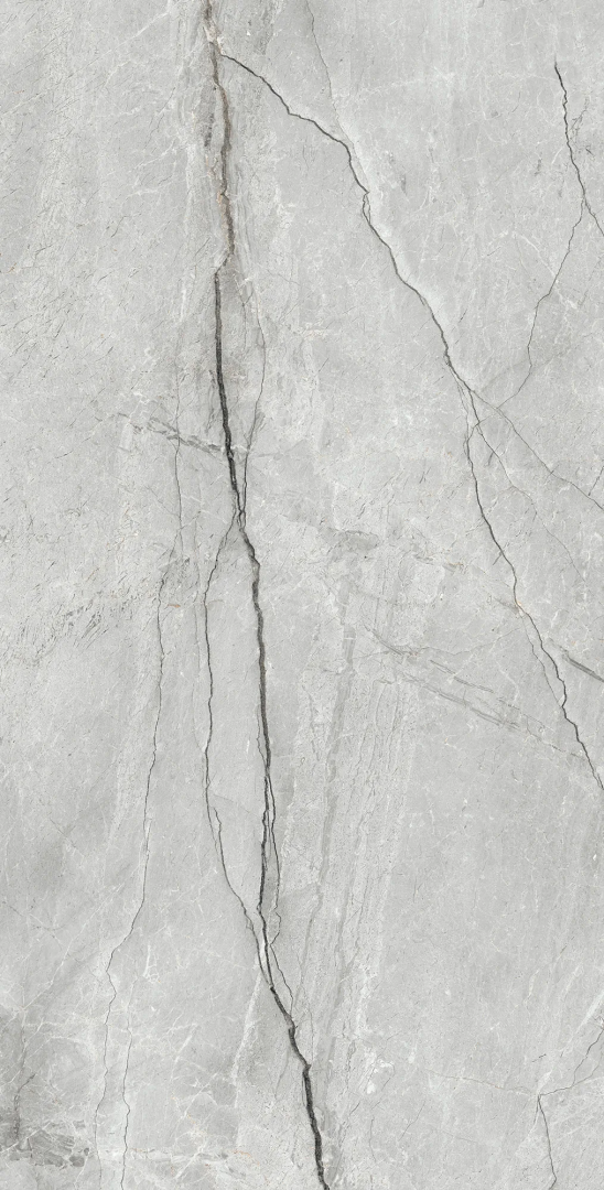 Керамогранит Аркадия Керамика CR4013-A Condor Light Grey Carving 60x120 серый