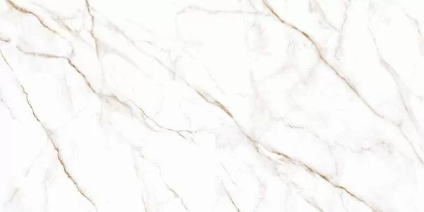 Керамогранит Alma Ceramica Neo Calacatta GFU60120NCL04R 60x120