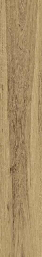 Керамогранит Atlas Concorde Rive Acqua Riva 20x120