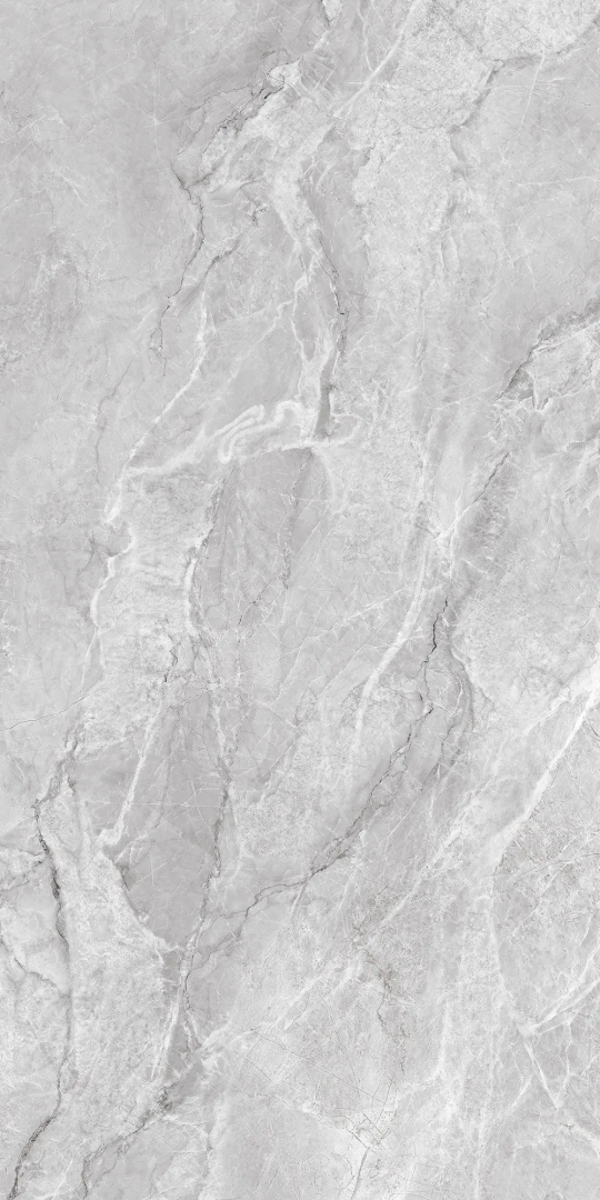 Керамогранит Аркадия Керамика CR4009-A Bolivia Dove Carving 60x120 серый