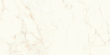 Керамогранит Atlas Concorde Marvel Shine Calacatta Delicato Polished 60x120 A4Q0